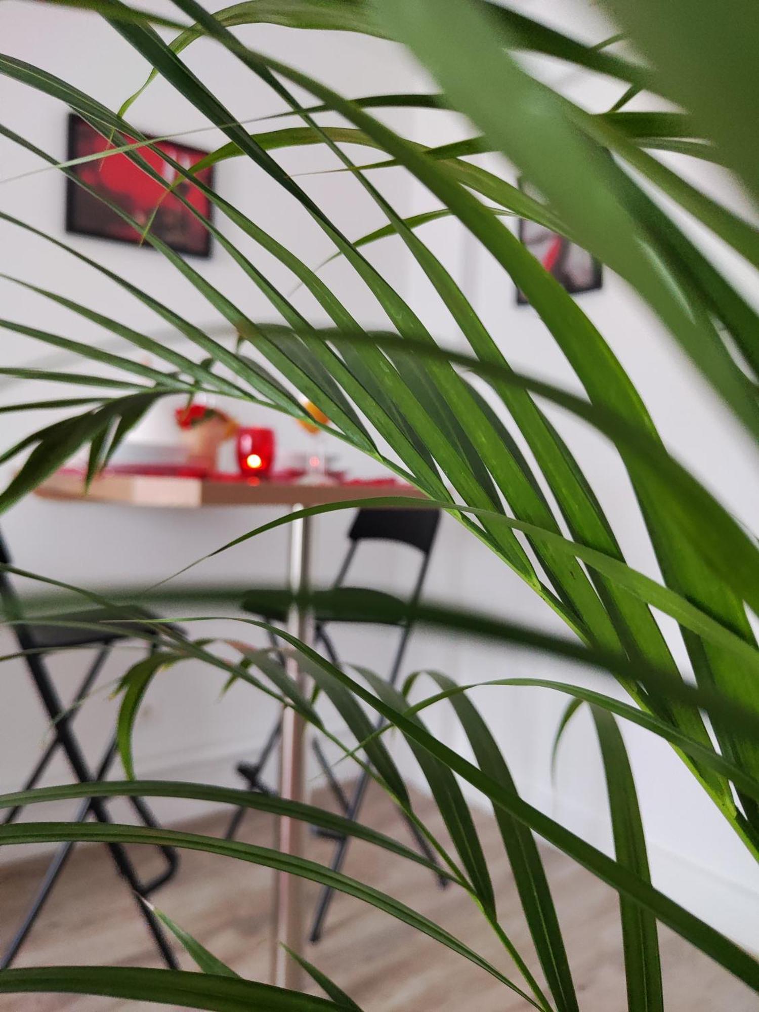 Appartement Romantic Cocon In *